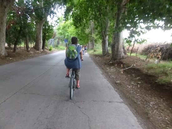 Auf schattigen Wegen geht's weiter zur dritten und letzten Bodega