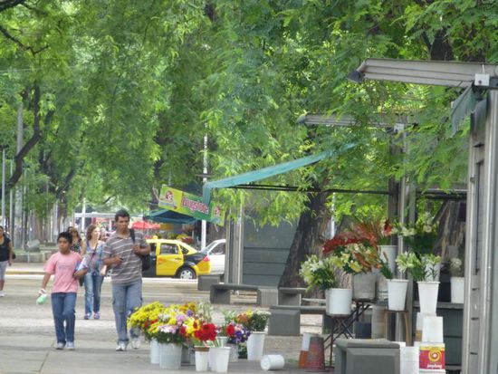 Noch ein paar Eindrücke vom "grünen" Mendoza: angeblich steht hier für jeden Einwohner ein Baum. Wir haben wie aber nicht gezählt 