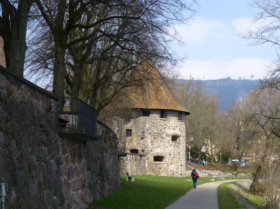 Entlang des Rheins lässt es sich vortrefflich promenieren. Wenn da nicht der eisig kalte Ostwind gewesen wäre....