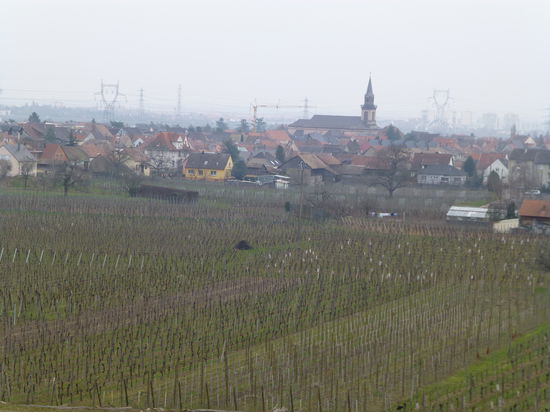 Dunstiges Hochnebel-Wetter herrschte in der Rheinebene bei den Dörfern entlang der elsässischen Weinstraße.