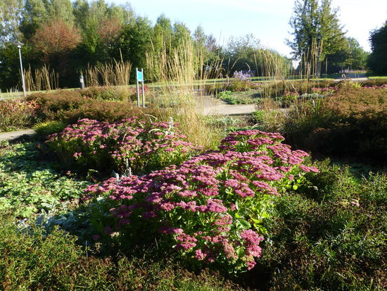 Herbstlicher Kurpark beim Sibyllenbad