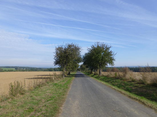 Eine Apfelbaum-Allee mit uralten Apfelsorten, die wir teilweise noch direkt vom Baum pflücken konnten