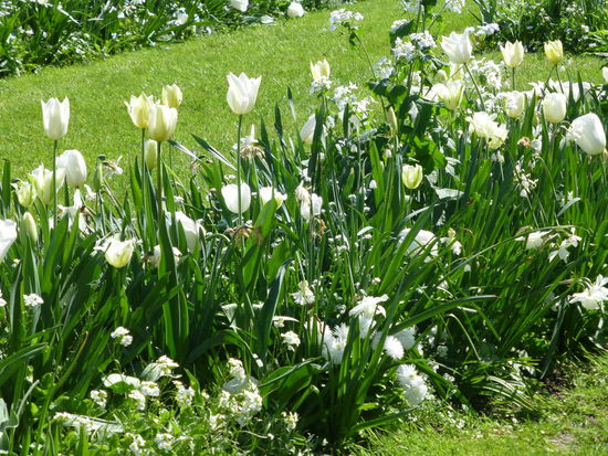 Garten und Park strahlen im Frühlingsgewand