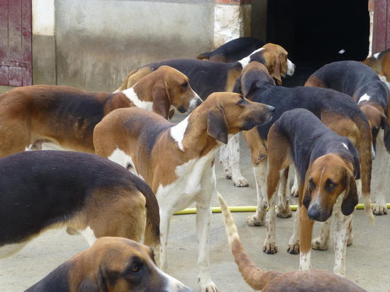 ... wird aber am Nachmittag dann doch munter
