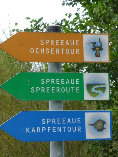 In den Spreeauen hat man auf den Rundwanderwegen die Qual der Wahl. Wir entscheiden uns für die Spreeaue Ochsentour