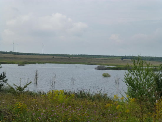 Die gefluteten Löcher sollen einmal zur größten, zusammenhängenden Seenplatte Deutschlands werden.