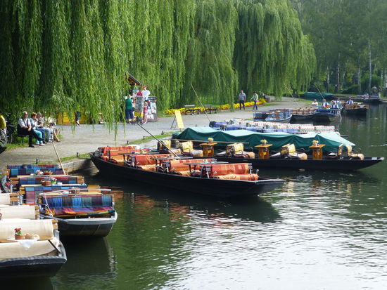 Der zentrale Kahnhafen in Lübbenau vermittelt uns ein wenig den Eindruck des "Ballermanns vom Spreewald"