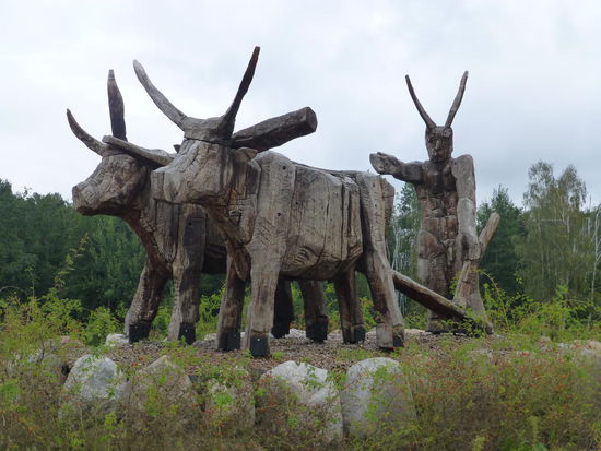 Im Aueroxen-Reservat der Spreewald-Aue