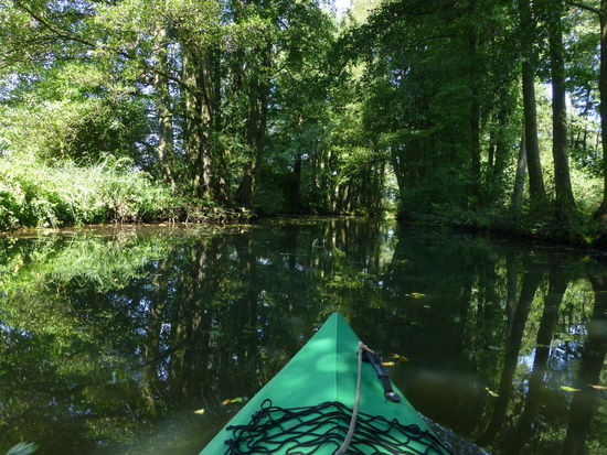 Ruhiges Gleiten durch eine grüne Hölle sind Entspannung pur