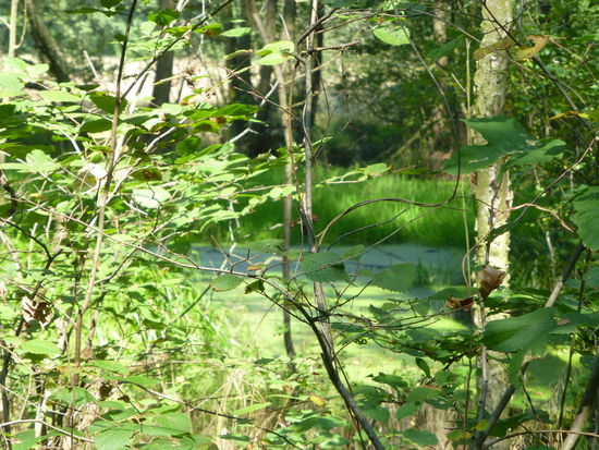 Ja wo ist er denn, der See?????