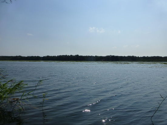Wer lange sucht..... zum Schluss der Wanderung erhaschen wir dann doch einen Blick auf den Byhleguhrer See