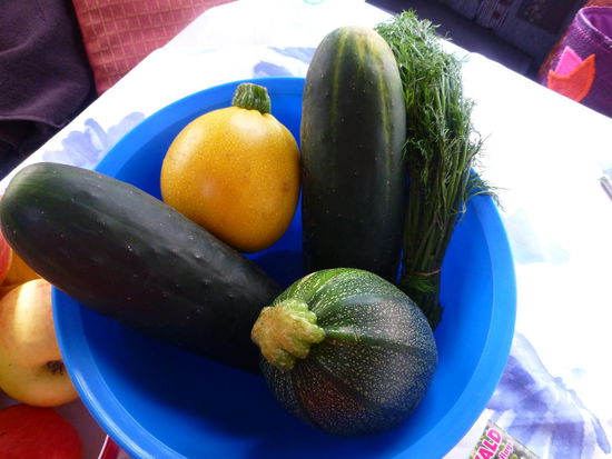 Das Ergebnis unseres Einkaufs auf dem Gemüsehof....