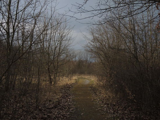 Das Labyrinth lichtet sich und der Weg führt wieder in hellere Regionen