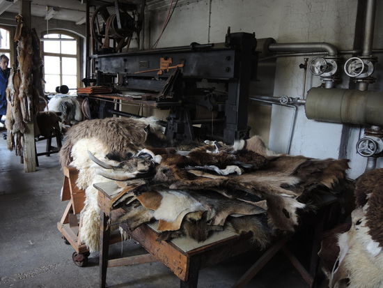 Zu Besuch in der Gerberei Stölcker