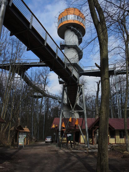 Hier geht's hinauf auf das Dach des Urwalds