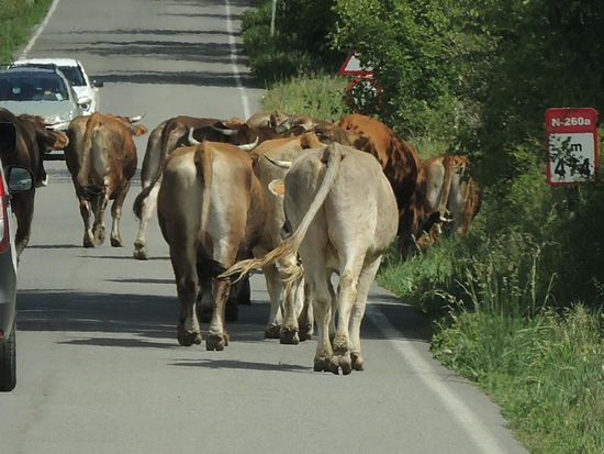 Auf dem Weg zum Nationalpark werden wir erst einmal ausgebremst 