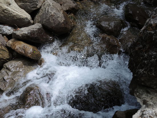 Wasser - der ständige Begleiter des heutigen Wandertages