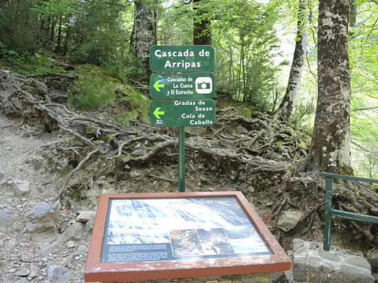 Die Wege sind bestens ausgeschildert