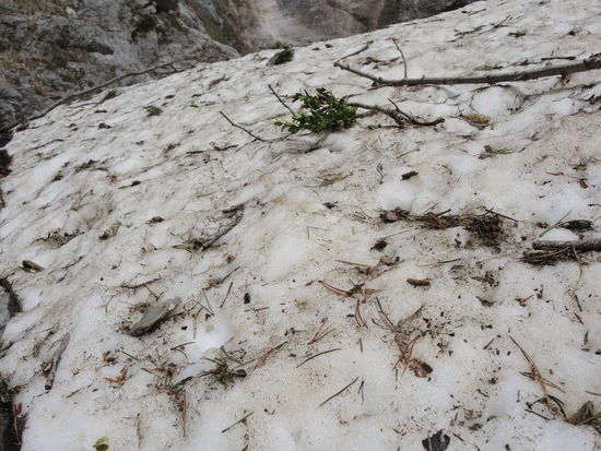 Gletscherwasser eisgekühlt..... Wer mag hier schon freiwillig ins Wasser 