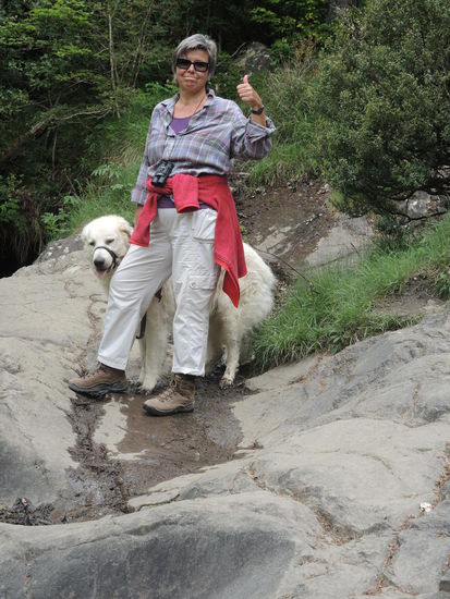 Kletterpartie unfallfrei geschafft 