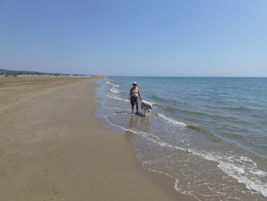 Strandspaziergänge......
