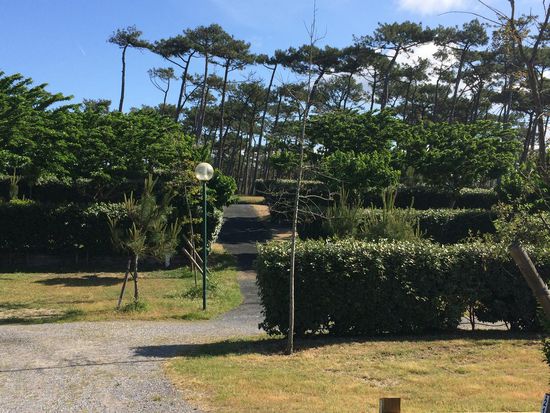 Freie Stellplätze gibt es um diese Jahreszeit auf dem Campingplatz mehr als genügend