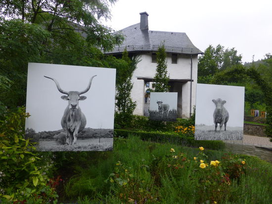...wo auch im Außenbereich immer wieder wechselnde Fotoausstellungen gezeigt werden.