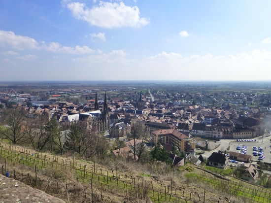Panorama-Blick vom Schenkenberg hoch über Obernai