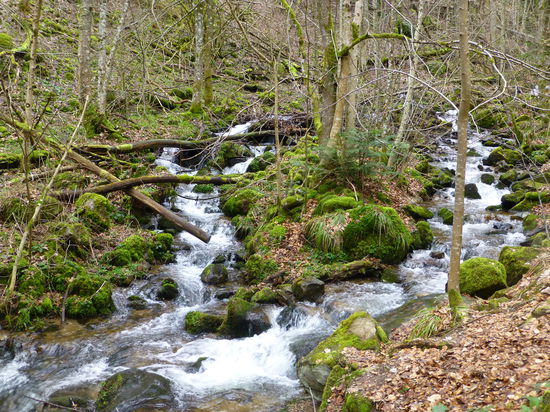 Die Andlau - hier in gemäßigter Form. Wenige Meter weiter stürzt sich sich als imposanter Wasserfall über eine Felsstufe ins Tal