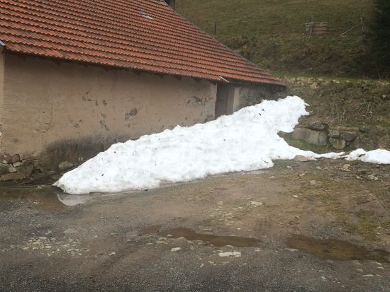 Die letzten Schneereste auf den Vogesen-Höhen