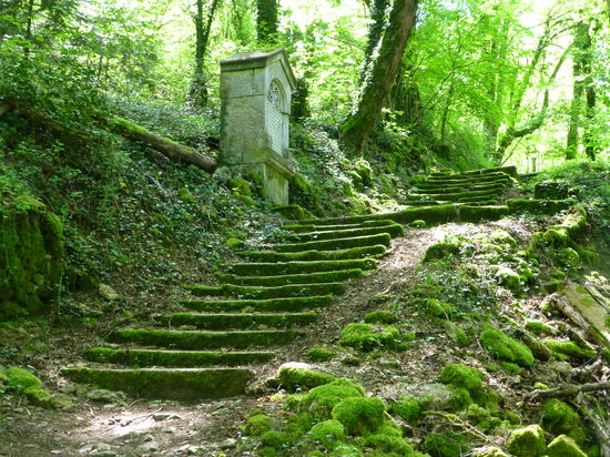 Aufwärts auf schattigen Pfaden