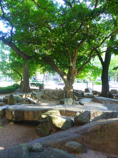 Dieser Baum hat die Atombomben-Katastrophe überstanden