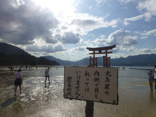 Bei der Hitze tut ein kühles Fußbad gut