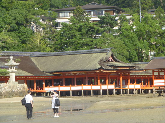 Auch der Shinto-Schrein steht auf Pfählen und wird des öfteren geflutet