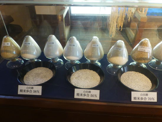 Reis ist nicht gleich Reis