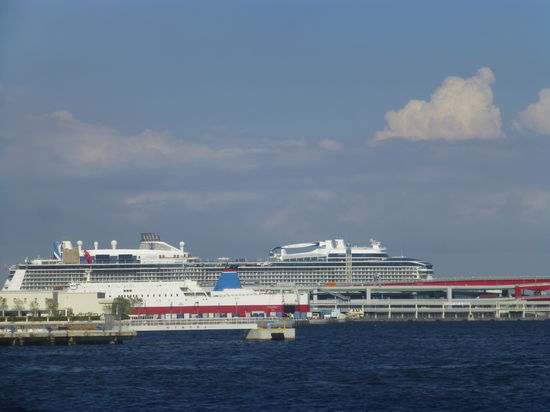 Schiffe gucken - auch große Kreuzfahrtschiffe legen hier an
