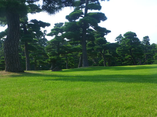 Es grünt so grünt im kaiserlichen Palastgarten