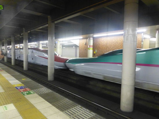 Der futuristisch anmutende Shinkansen - eine der komfortabelsten Arten in Japan zu reisen