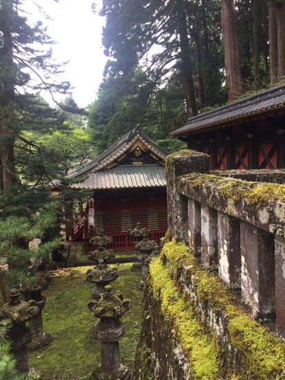 Moosbewachsene Steine verbreiten eine mystische Atmosphäre