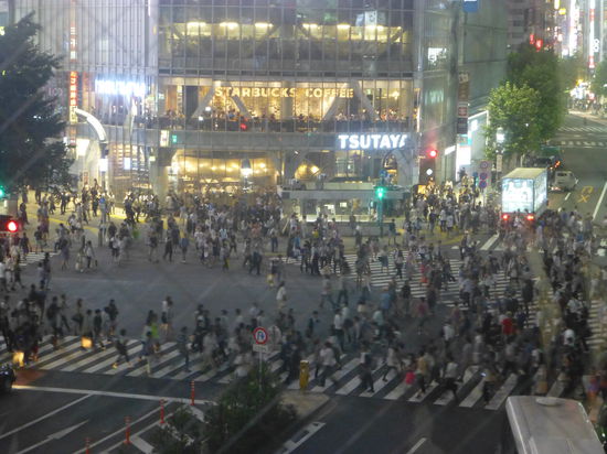 Gewimmel wie in einem Ameisenhaufen