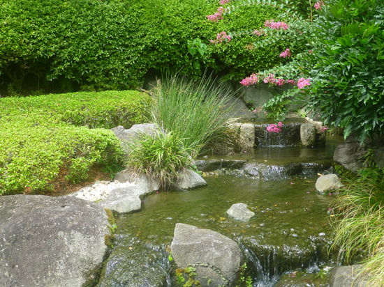 Uns erwartet der buddhistische Hase-dera Tempel