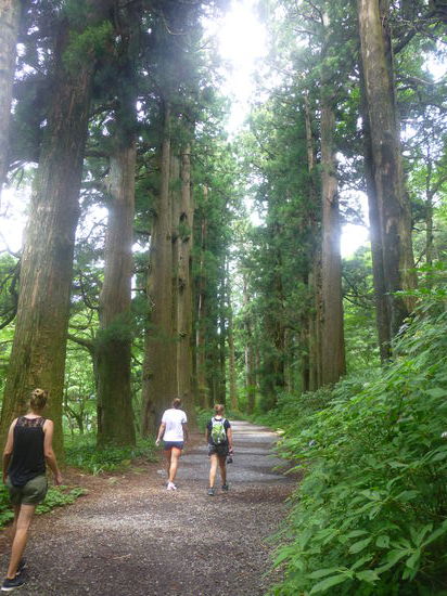 Willkommener Schattenpfad bei hochsommerlichen Temperaturen