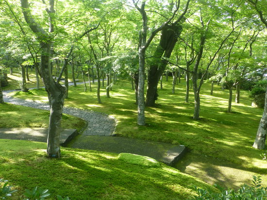 Ruhe und Entspannung pur gibt es im Moosgarten von Hakone-Gora