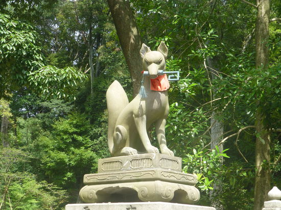 Der Steinfuchs gilt als Götterbote Inaris, dem Gott der Reisernte.