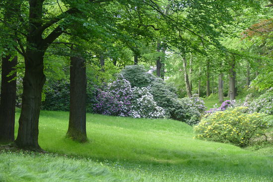 Umrahmt von einem wunderbaren Park