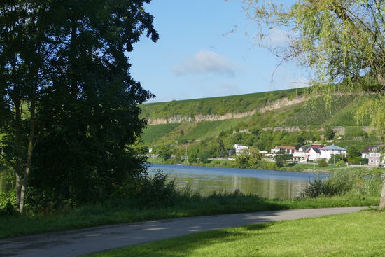Nach einem verregneten Abend strahlt am nächsten Morgen die Sonne am Stellplatz an der Mosel