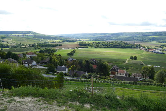 Ausblick ins Tal der Marne