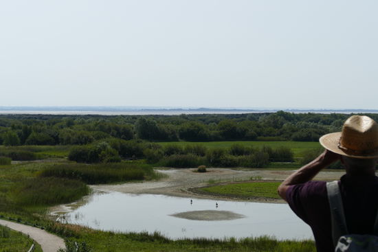Ein Fernglas gehört zur Grundausstattung beim Besuch des Parc de Marquenterre