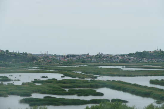 Sumpflandschaft bei Tulcea