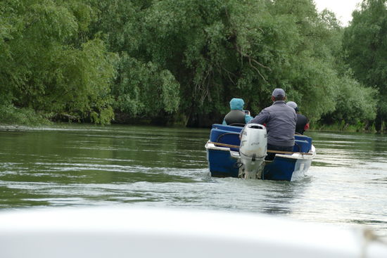 Frühmorgens herrscht noch wenig Verkehr auf den Donau-Armen des Deltas
